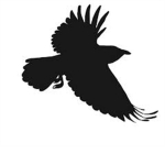 [CSO] Crow Special Operations