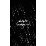 Roblox Gamer.jpg