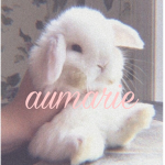 aumarie’s fan group <3