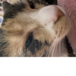 *~+Hoperapy+~*