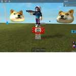 doge playz fan group