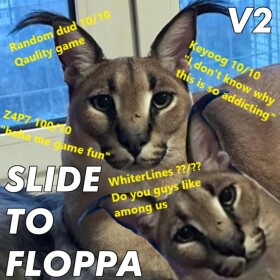 Slide To Floppa