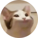 Cat Therapy