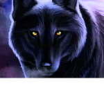 official wolf club