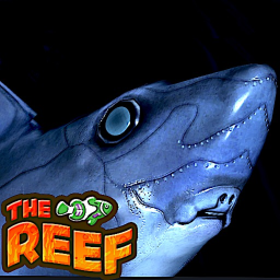 👻🦈 | 🐠🪸THE REEF🐬🪸 icon