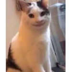 ميو