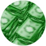 RICH FAN DONATION!!!