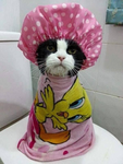 Sara_cattyy!