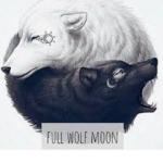 The Sly Wolves