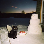 snow"