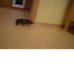 !!!!! RUN !!!!!