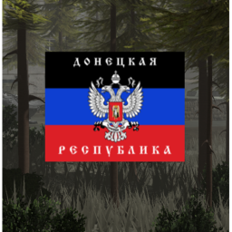(RAF/RUS) Donbass, Invasion of Ukraine.