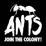 ~Ants United~