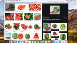 melonz