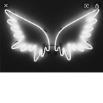 The neon blavk group