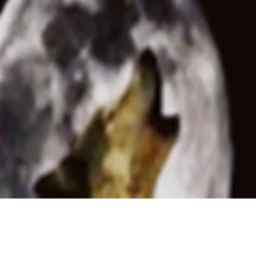 grasic simulator icon
