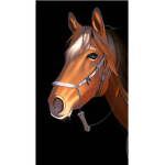 Star ranch