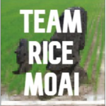 Team Rice Moai