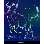 bull riders