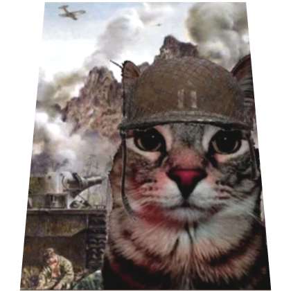 War Cat Meme Cape Roblox item