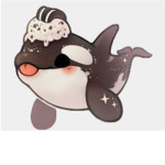 Kawwi squad