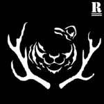 R_D Studio