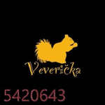 vevericka Team