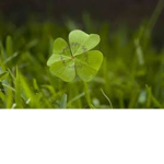 PEOPLE LUCKY