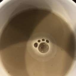 ⪩★⪨