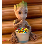 The Groot Gang