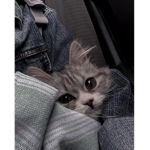 Hi.guys