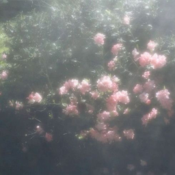 ʚ♡ɞ