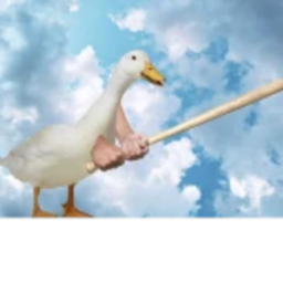 Duck Warfare OLD