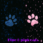 Pink & Blue cats dance group!