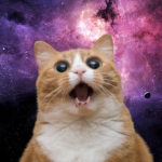 Galaxy cat..