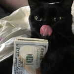 hex's cash