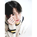 bts army any friends only