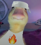 Jr-Studios.