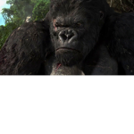 Monke’s united!