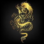 The Wild Dragons karate
