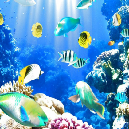 Pretty fish Roblox decal