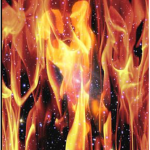 The Hots Shots