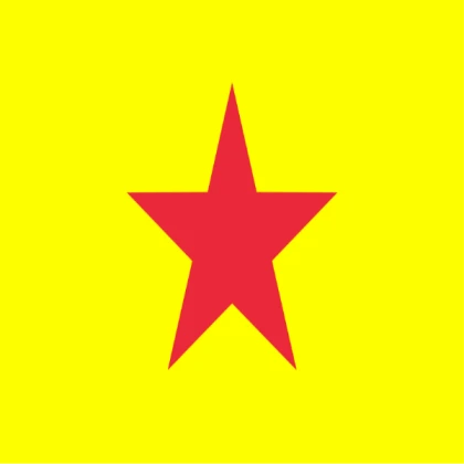 Vietnam Flag Inverted Colors