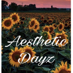 Aesthetic Dayz