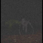 Spring 2010's Legend (STORYMODE)