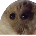 niapres