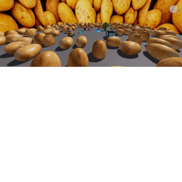 mi paraiso XD