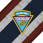 《 2nd Infantry Regiment, King's Guard 》