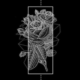 𝐭𝐡𝐞