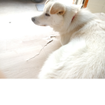그룹만들었다